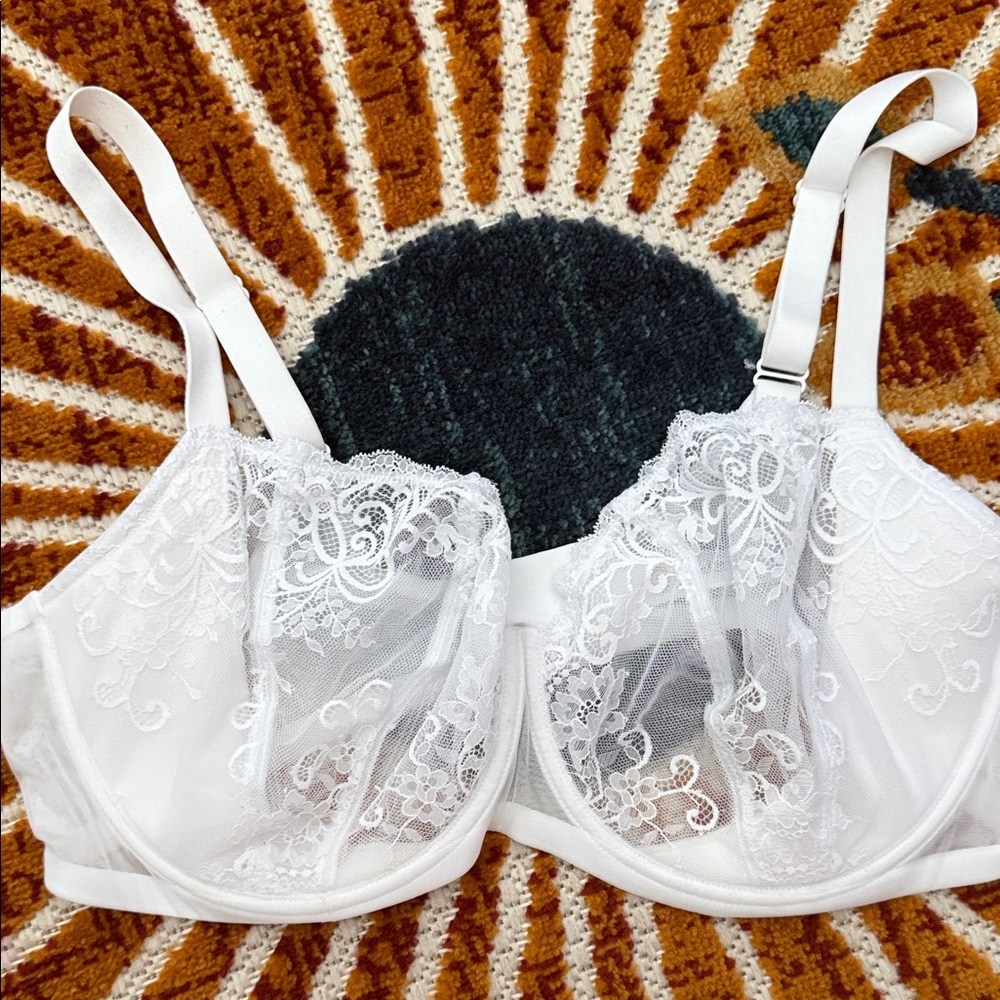 Lace Bra Plus Size Sexy See Through Unlined Underwire Bras Size 44DD
